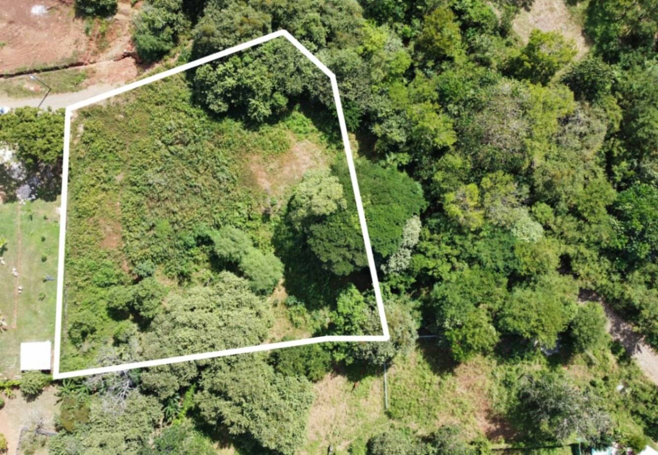 Private Jungle Estate Land in Vistas de Flamingo, Guanacaste, Costa Rica